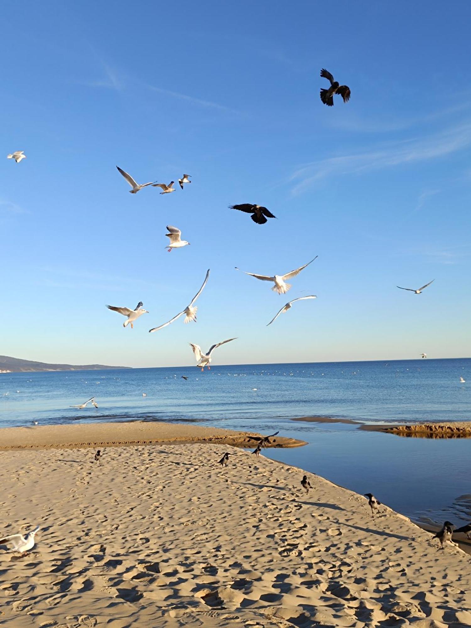 Pomorie Chaika Home Dış mekan fotoğraf